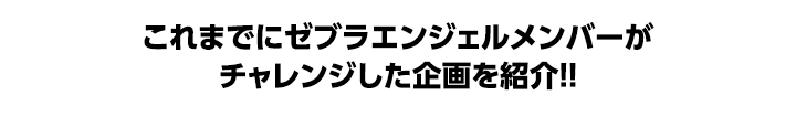 これまでにゼブラエンジェルメンバーがチャレンジした企画を紹介!!